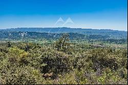 Authentic 17th century farmhouse in Luberon