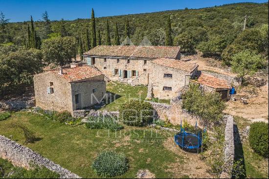 Authentic 17th century farmhouse in Luberon