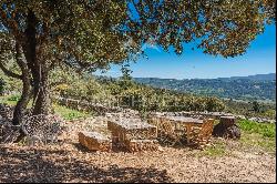 Authentic 17th century farmhouse in Luberon