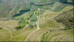 Wine estate for sale in Alto Douro Vinhateiro, Douro Valley, Portugal