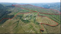 Wine estate for sale in Alto Douro Vinhateiro, Douro Valley, Portugal