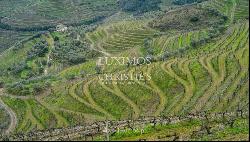 Vineyard for sale in Douro Wine Demarcated Region, Douro Valley, Portugal