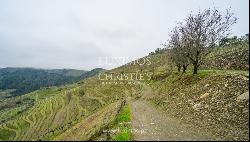 Wine estate for sale in Alto Douro Vinhateiro, Douro Valley, Portugal