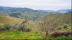 Vineyard for sale in Douro Wine Demarcated Region, Douro Valley, Portugal