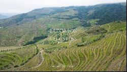 Wine estate for sale in Alto Douro Vinhateiro, Douro Valley, Portugal