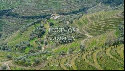 Wine estate for sale in Alto Douro Vinhateiro, Douro Valley, Portugal