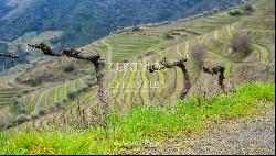 Wine estate for sale in Alto Douro Vinhateiro, Douro Valley, Portugal