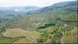 Wine estate for sale in Alto Douro Vinhateiro, Douro Valley, Portugal