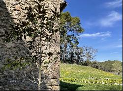 LUXURY WINE TOURISM ESTATE IN THE VAR