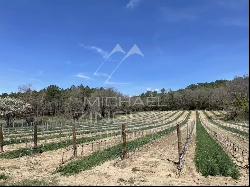 LUXURY WINE TOURISM ESTATE IN THE VAR