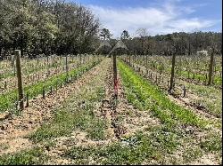 LUXURY WINE TOURISM ESTATE IN THE VAR