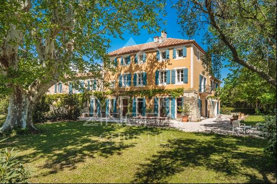 Beautiful Property - Ile de la Barthelasse