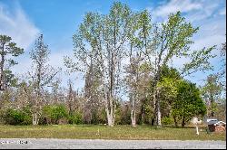 Tract A-2 Nc 133 Highway, Rocky Point NC 28457