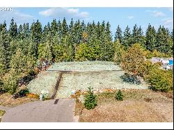 4100 Z St, Washougal WA 98671