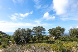 Urban land plus forest in Supermaresme - Costa BCN