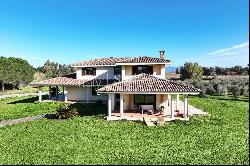 Country house with its own olive grove near Oristano