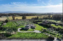 Country house with its own olive grove near Oristano