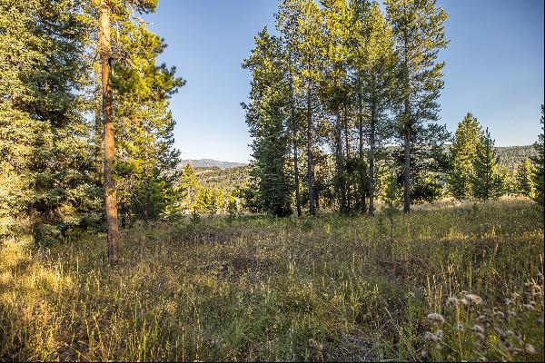 Lot 24 Crown Butte Road