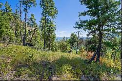 Tract 1AA Blacktail Road