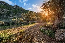 Finca, Deia, Mallorca, 07179