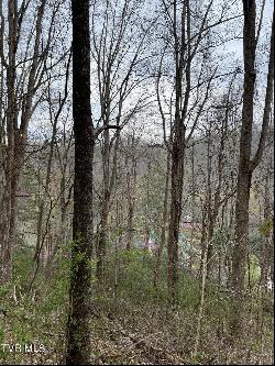 Lot 14b Cable Hollow Road, Butler TN 37640