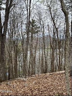 Lot 14b Cable Hollow Road, Butler TN 37640