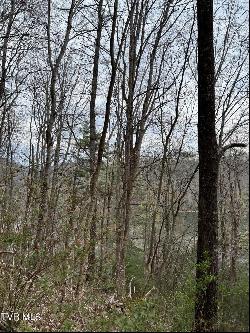 Lot 14b Cable Hollow Road, Butler TN 37640