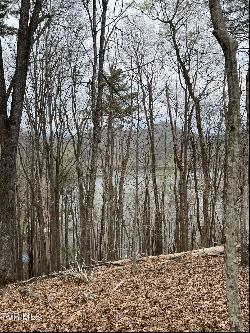 Lot 14b Cable Hollow Road, Butler TN 37640