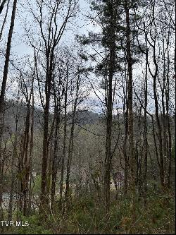 Lot 14b Cable Hollow Road, Butler TN 37640