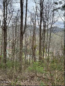 Lot 14b Cable Hollow Road, Butler TN 37640