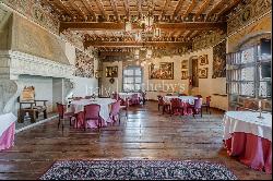 Historic castle at the foot of the Alps