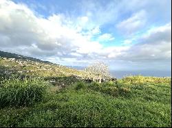 Santa Cruz Madeira