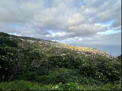  , Santa Cruz Madeira