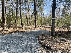 491 White Birch Road Lot 18, Northville NY 12134