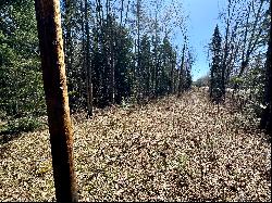 Five Acre Lot in Lunenburg