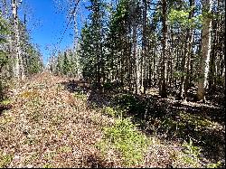 Five Acre Lot in Lunenburg