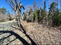 Five Acre Lot in Lunenburg