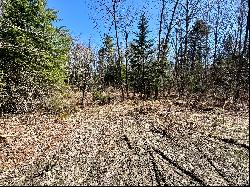 Five Acre Lot in Lunenburg