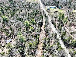 Five Acre Lot in Lunenburg