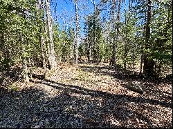 Five Acre Lot in Lunenburg