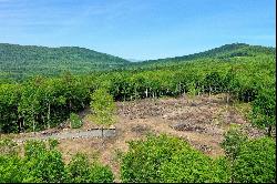 Perfect Location to Build your Vermont Home