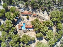 Large farm with house, 49ha, Pinheiro do Cravo, Melides, Comporta