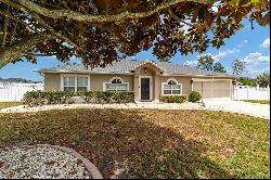 4031 SW 110th Lane, Ocala FL 34476