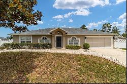 4031 SW 110th Lane, Ocala FL 34476