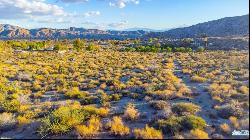 50325 Apache Trail, Morongo Valley CA 92256