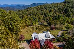 The Vineyards at Betty's Creek