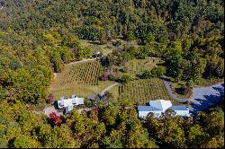 The Vineyards at Betty's Creek