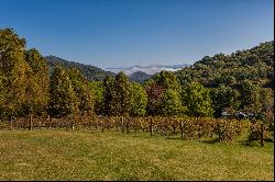 The Vineyards at Betty's Creek