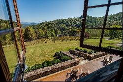 The Vineyards at Betty's Creek