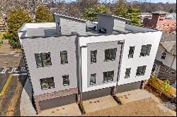 Exquisite New Construction Modern Townhome-Madison Park South